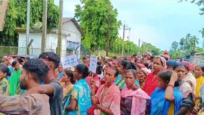 Tea Workers Protest for Bonus, Shutting Down Multiple Tea Gardens in Dibrugarh Assam