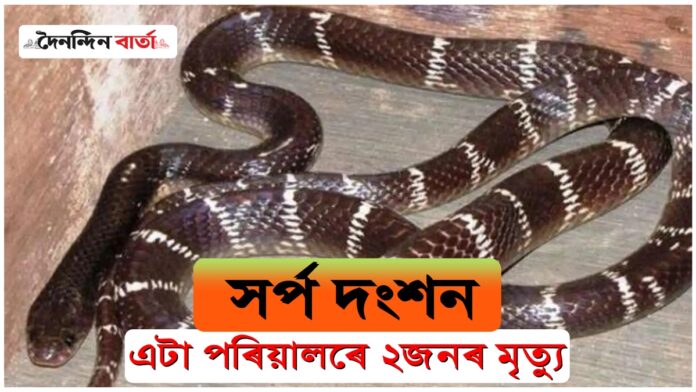 Tragic Snakebite Incident: এটা পৰিয়ালৰে পাঁচজন সদস্যক সৰ্প দংশন; ২ জনৰ মৃত্যু