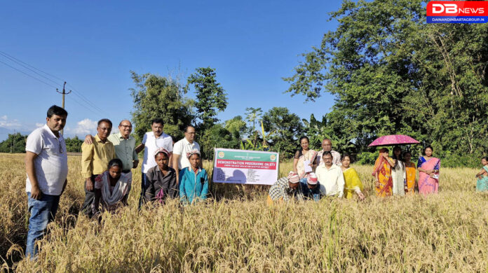 Sonitpur:শোণিতপুৰত কেন্দ্ৰীয় চৰকাৰৰ পৰিদৰ্শকৰ দল