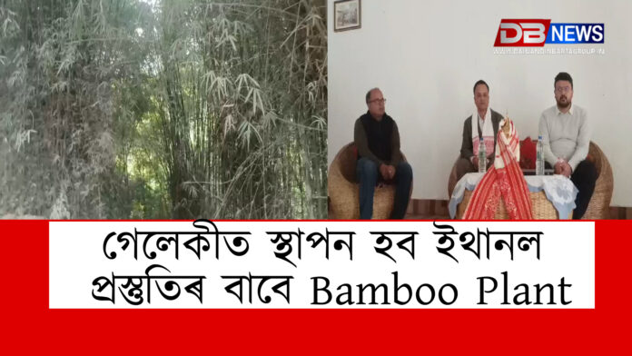 গেলেকীত স্থাপন হব ইথানল প্ৰস্তুতিৰ বাবে Bamboo Plant