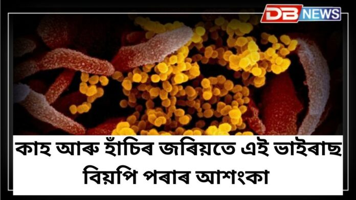 Virus: পুনৰ ভাইৰাছ! Covid-19তকৈও মাৰাত্মক এইবিধ ভাইৰাছ